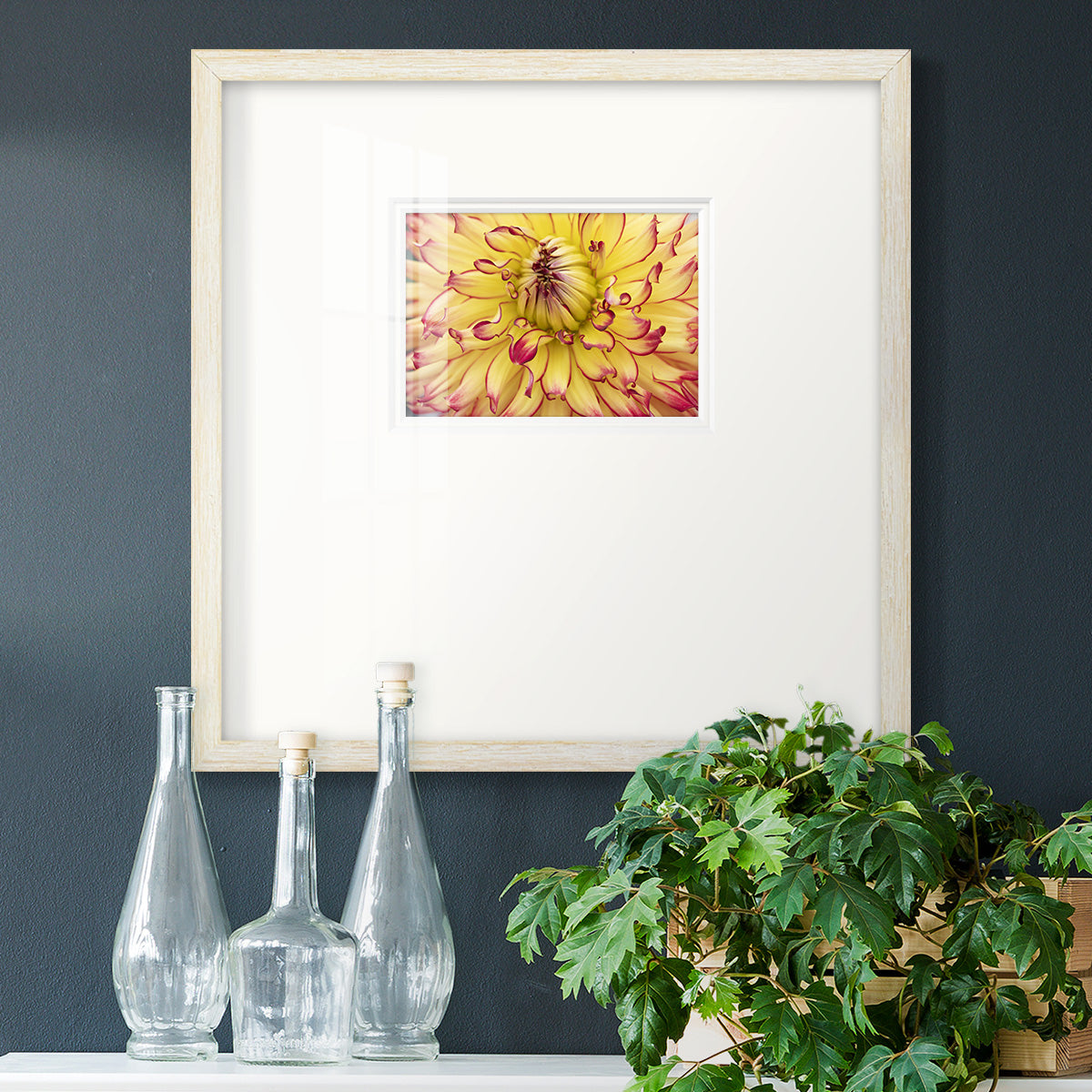 Blooms II Premium Framed Print Double Matboard