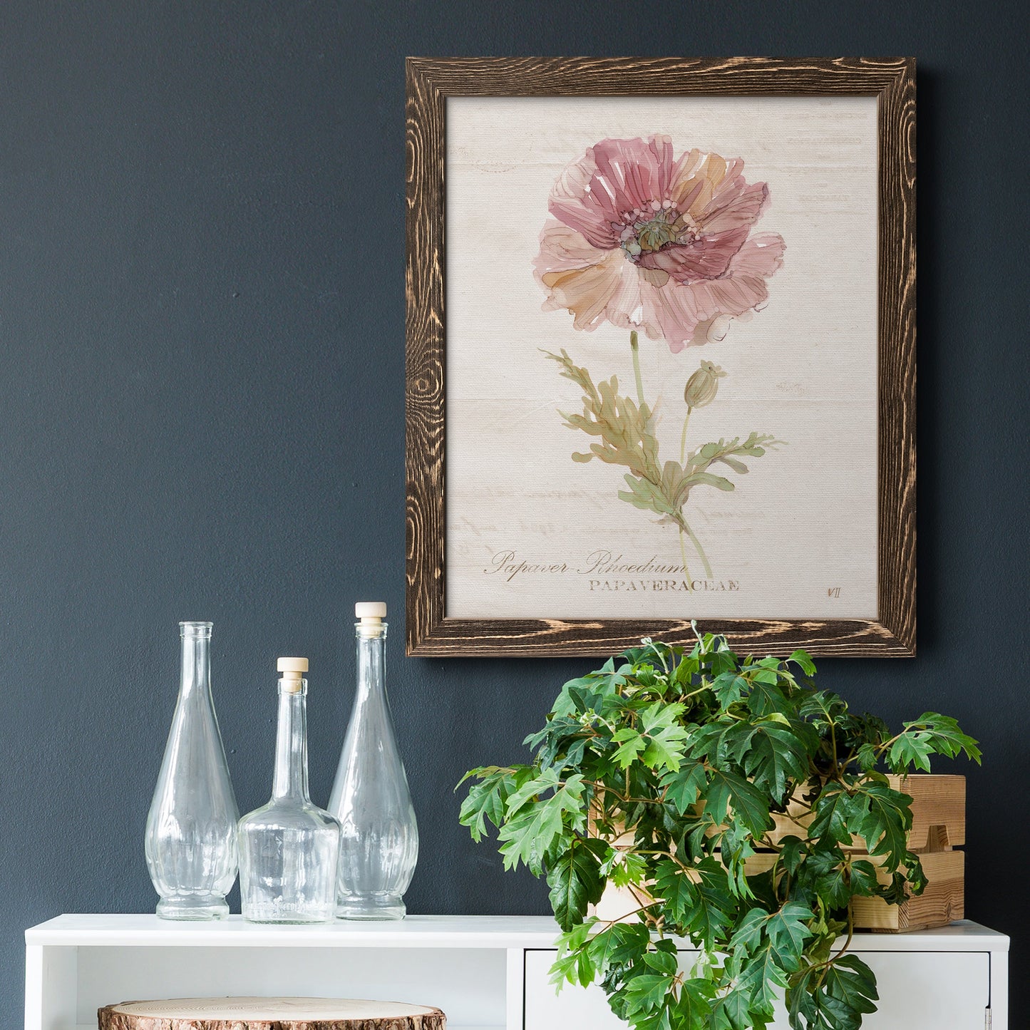 Soft Poppy - Premium Canvas Framed in Barnwood - Ready to Hang