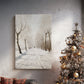 Silver Serenade - Canvas Art Print