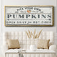 Pumpkin Patch I - Floater Framed Canvas Print