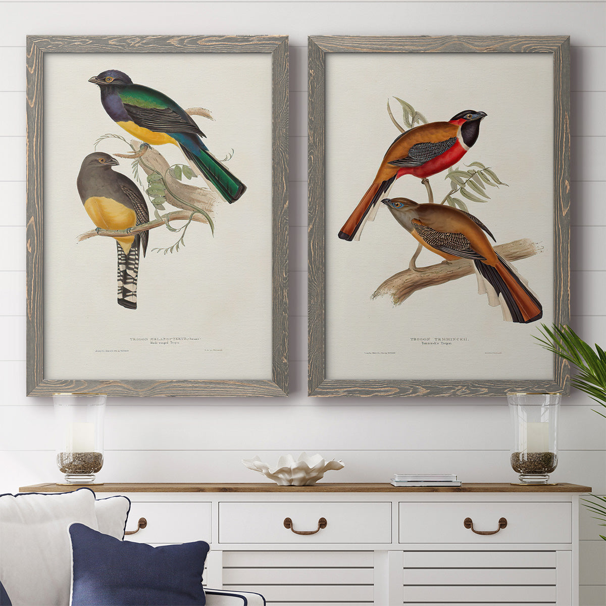 Elegant Trogons III - Premium Framed Canvas 2 Piece Set - Ready to Hang