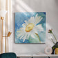 Daisy Sunshine I - Canvas Art Print