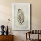 Soft Half Shell II - Canvas Art Print