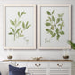 Herb Sage - Premium Framed Canvas 2 Piece Set - Ready to Hang