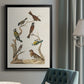 Antique Birds in Nature II - Modern Framed Canvas Print