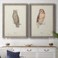 Scops- Eared Owl - Premium Framed Canvas 2 Piece Set - Ready to Hang