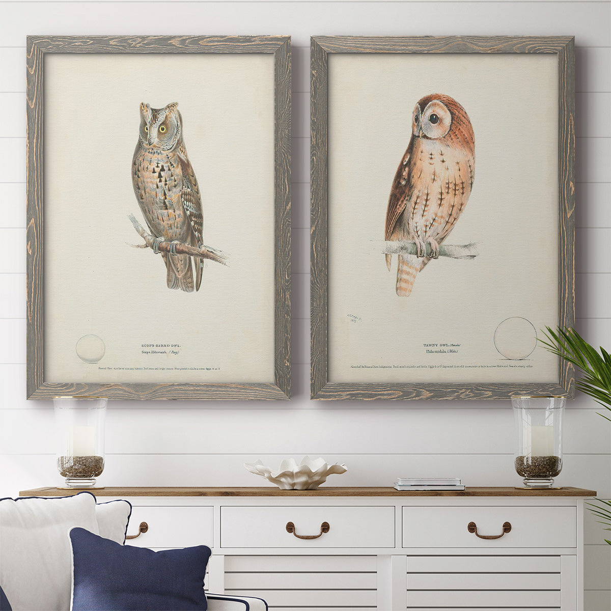 Scops- Eared Owl - Premium Framed Canvas 2 Piece Set - Ready to Hang