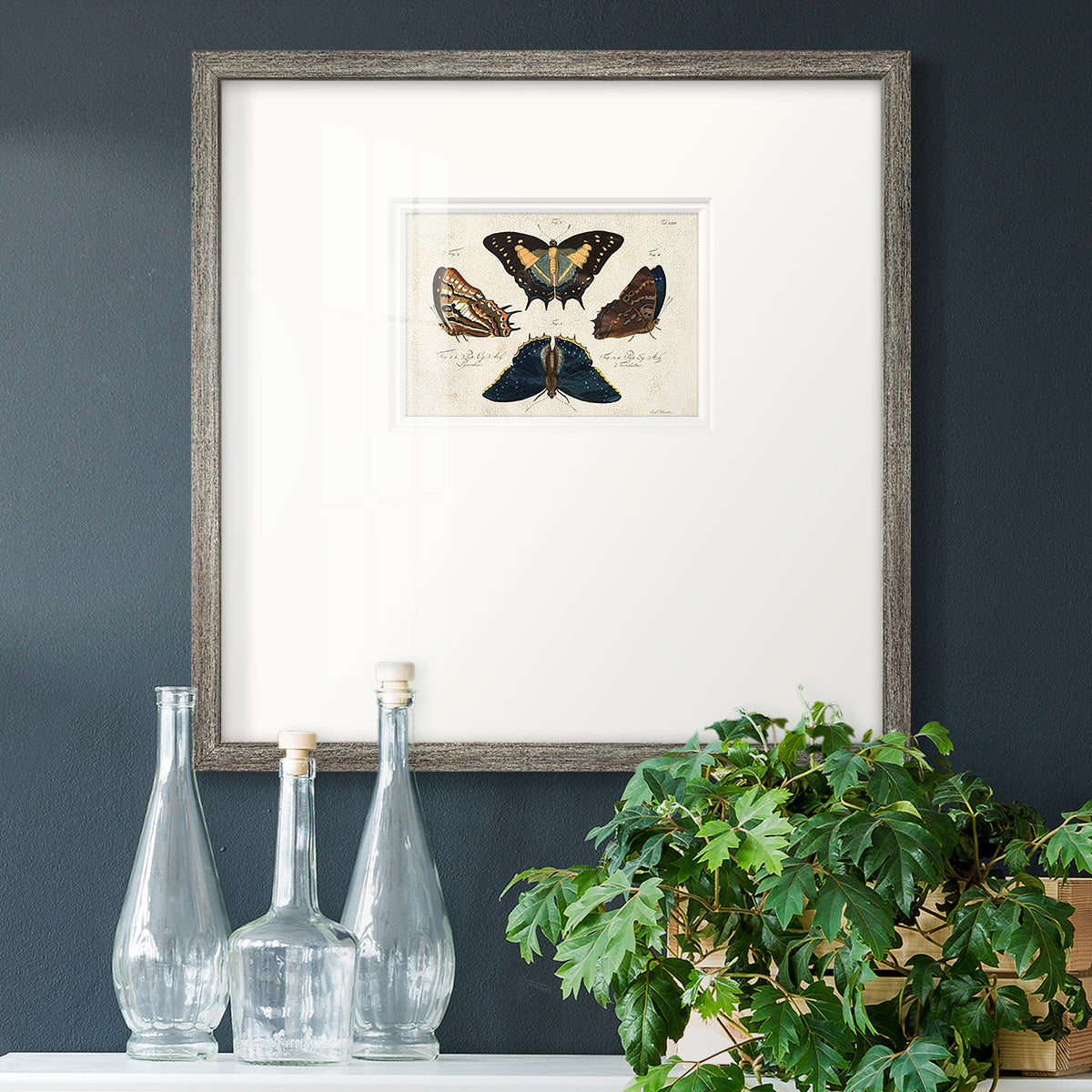 Crackled Butterflies IV Premium Framed Print Double Matboard