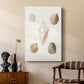 Pastel Knorr Shells IX - Canvas Art Print