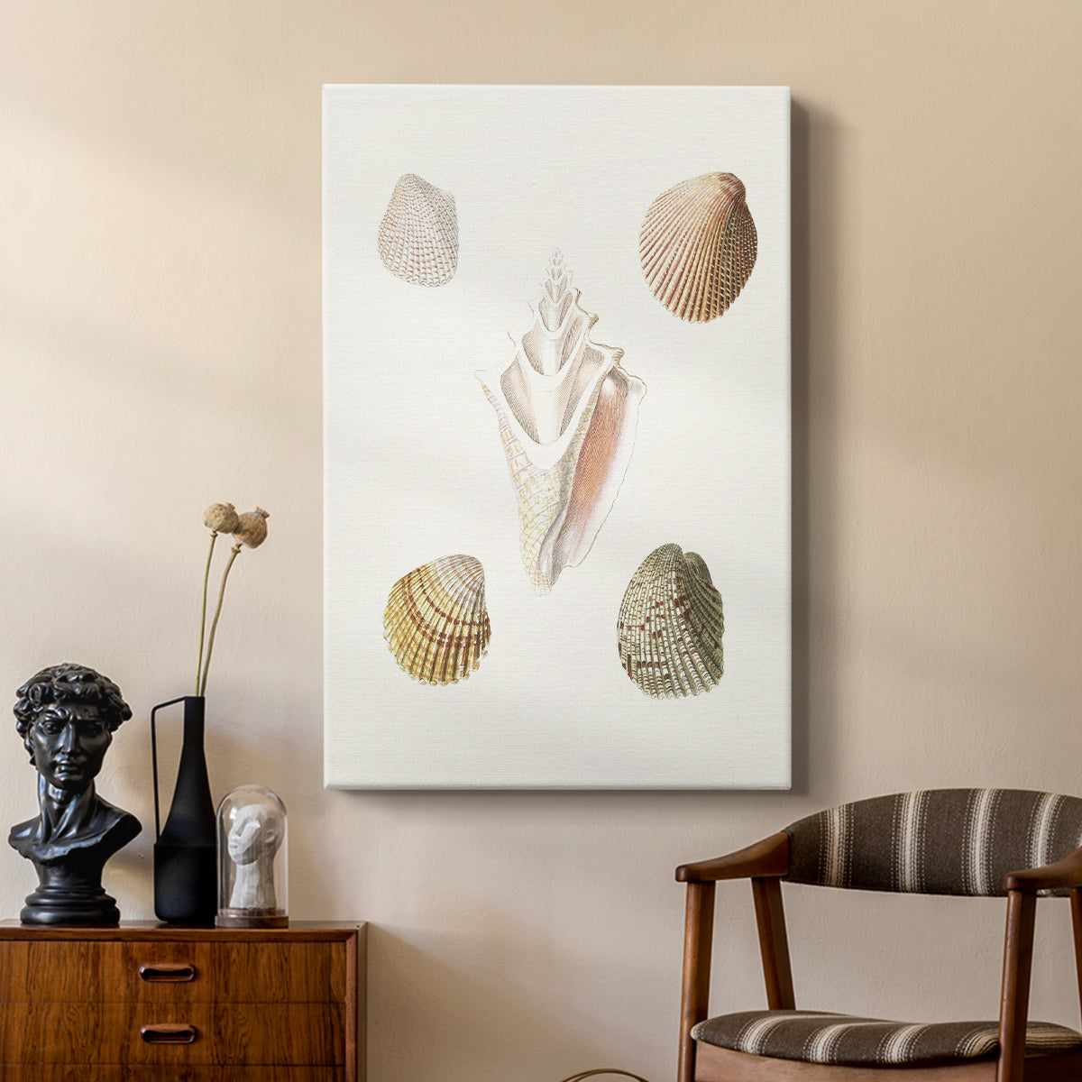 Pastel Knorr Shells IX - Canvas Art Print