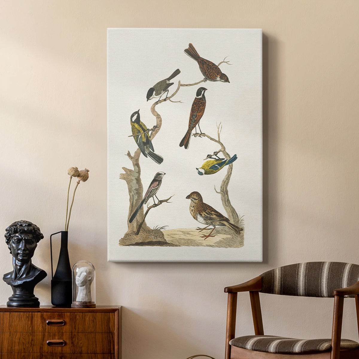 Antique Birds in Nature II - Canvas Art Print