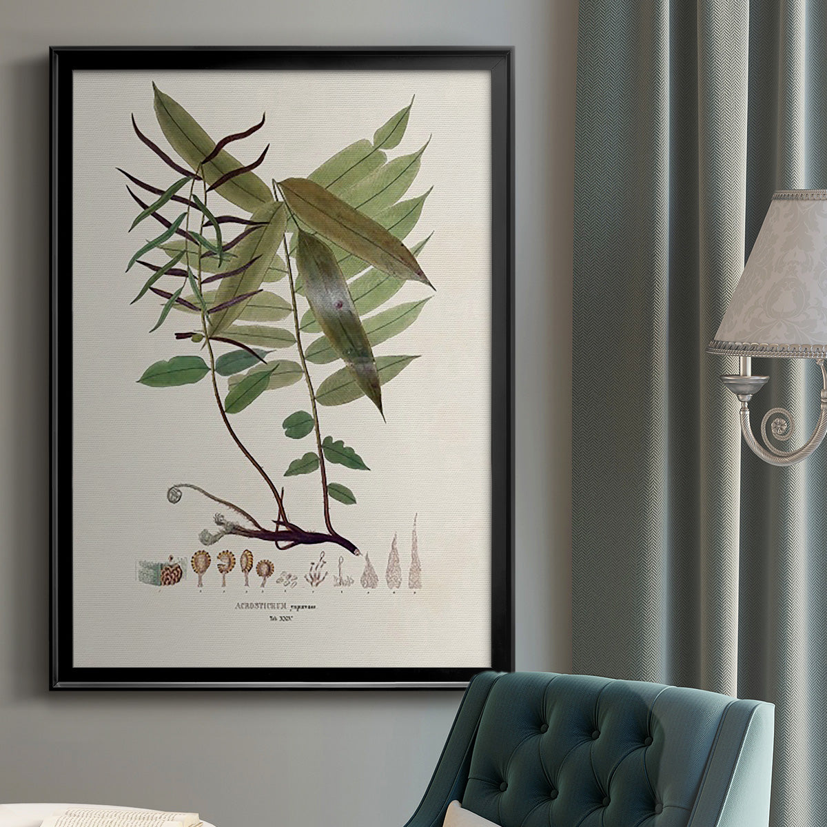 Botanical Society Ferns VI - Modern Framed Canvas Print