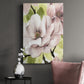 Blush Magnolia II Premium Gallery Wrapped Canvas - Ready to Hang