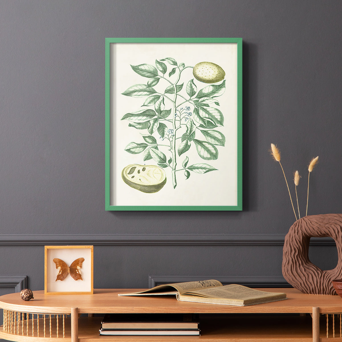 Buchoz Tropicals III - Restickable Framed Art Print