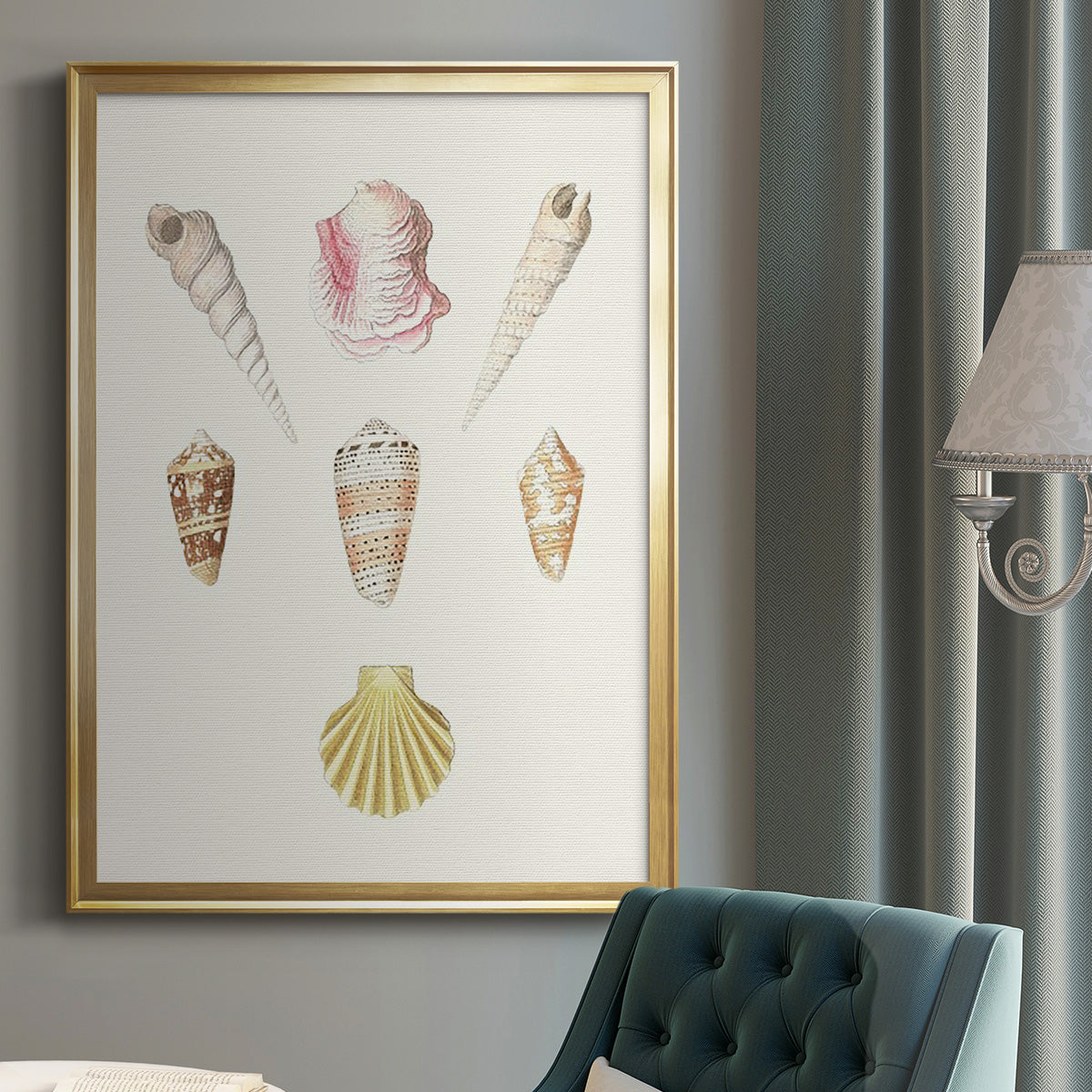 Pastel Knorr Shells I - Modern Framed Canvas Print