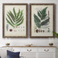 Set of two walnut barnwood framed canvas prints depicting a coordinated art pair of vintage fern specimens with botanical details rendered as natural-history fern plates above a dining room sideboard.
