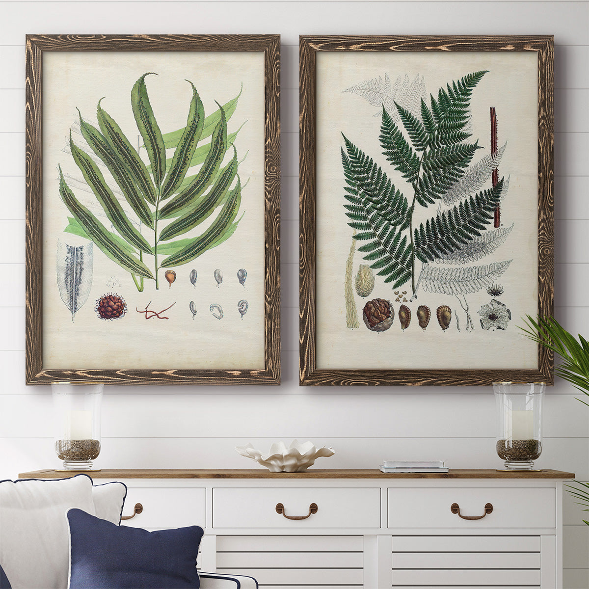 Set of two walnut barnwood framed canvas prints depicting a coordinated art pair of vintage fern specimens with botanical details rendered as natural-history fern plates above a dining room sideboard.