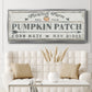 Pumpkin Patch II - Floater Framed Canvas Print