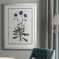 Soft Botanical II - Modern Framed Canvas Print