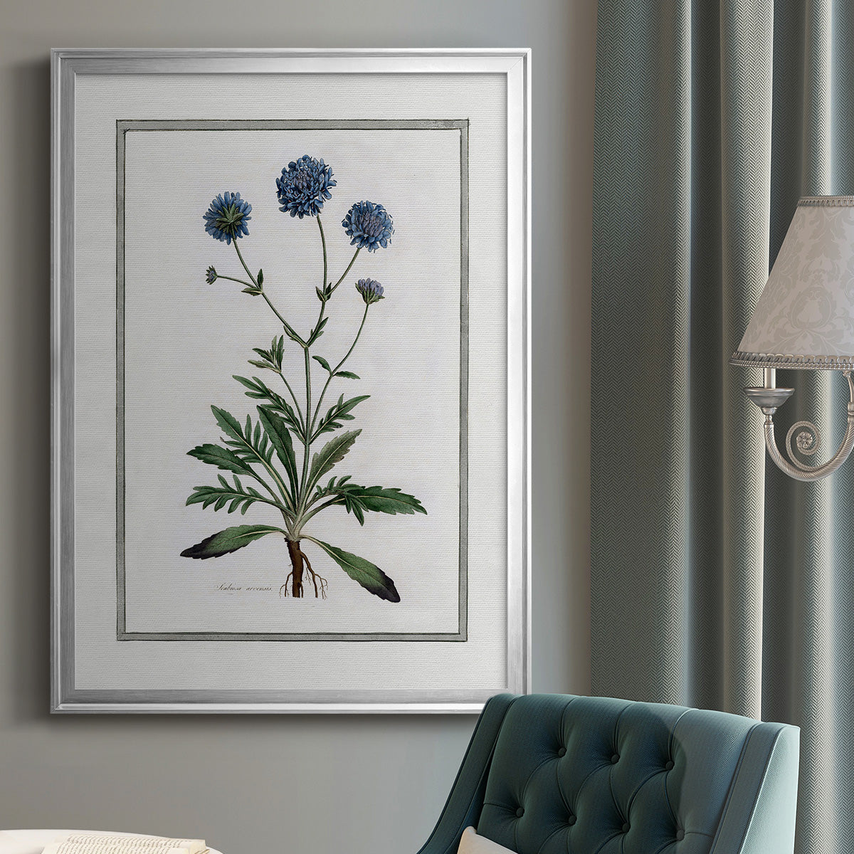 Soft Botanical II - Modern Framed Canvas Print
