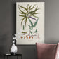 Botanical Society Ferns VIII Premium Gallery Wrapped Canvas - Ready to Hang