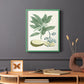 Buchoz Tropicals IV - Restickable Framed Art Print