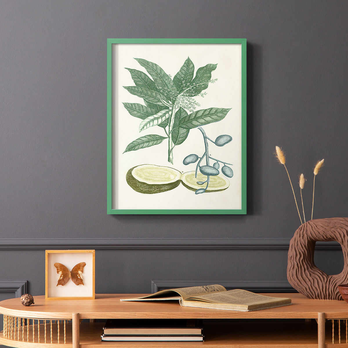 Buchoz Tropicals IV - Restickable Framed Art Print