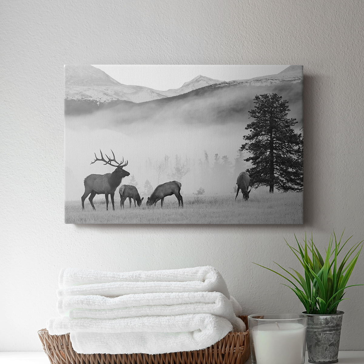 Mountain Elk - Canvas Art Print