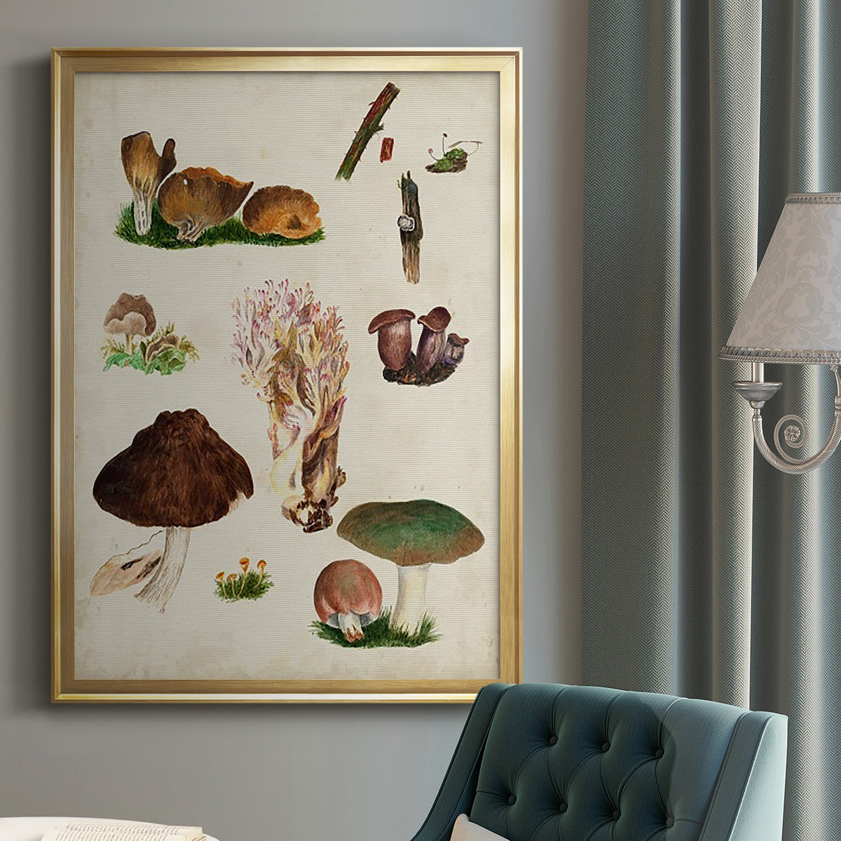 Mushroom Species IX - Modern Framed Canvas Print