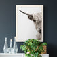 Highland Cattle - Premium Canvas Framed in Barnwood - Ready to Hang