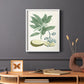 Buchoz Tropicals IV - Restickable Framed Art Print