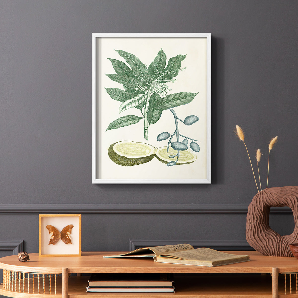 Buchoz Tropicals IV - Restickable Framed Art Print