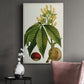 Antique Flowering Trees VI Premium Gallery Wrapped Canvas - Ready to Hang