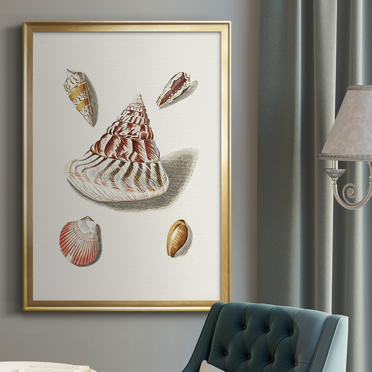 Pastel Knorr Shells VII - Modern Framed Canvas Print