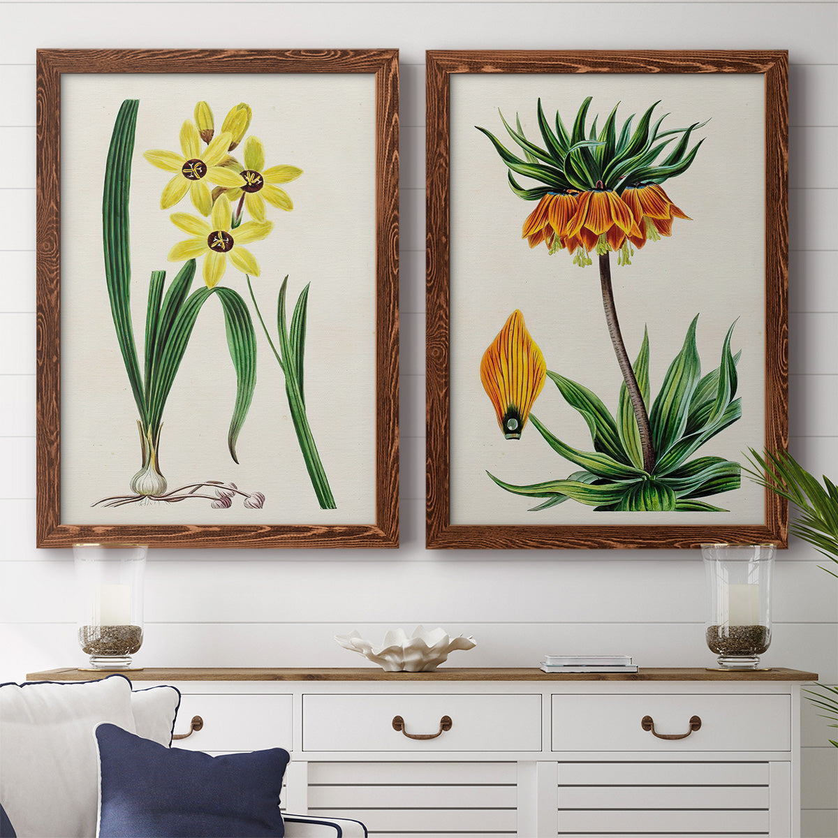 Set of two maple barnwood framed canvas prints depicting a coordinated art pair of colorful flowering plant specimens rendered as antique botanical plate illustrations above a dining room sideboard.