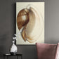 Splendid Shells III Premium Gallery Wrapped Canvas - Ready to Hang