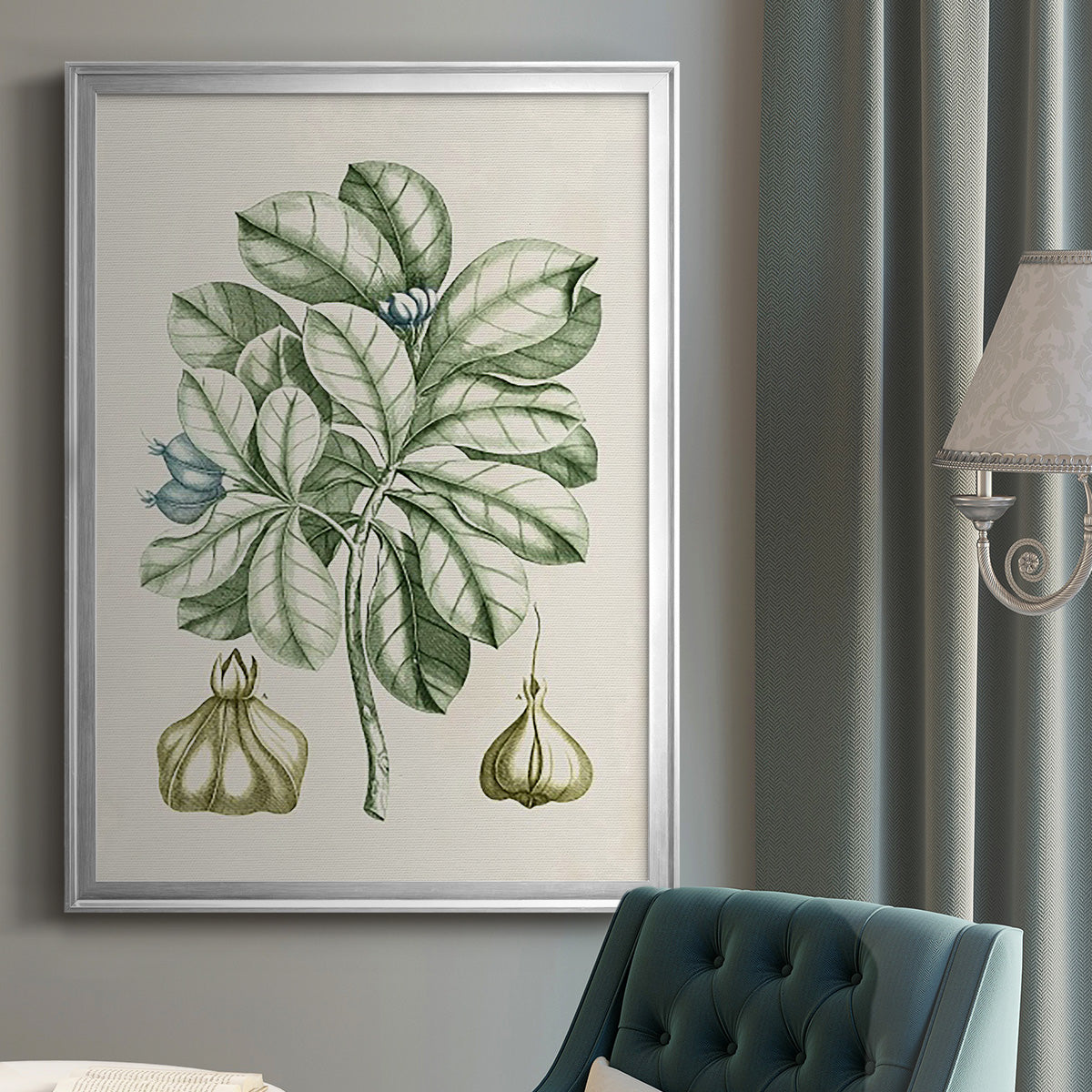 Buchoz Tropicals IX - Modern Framed Canvas Print