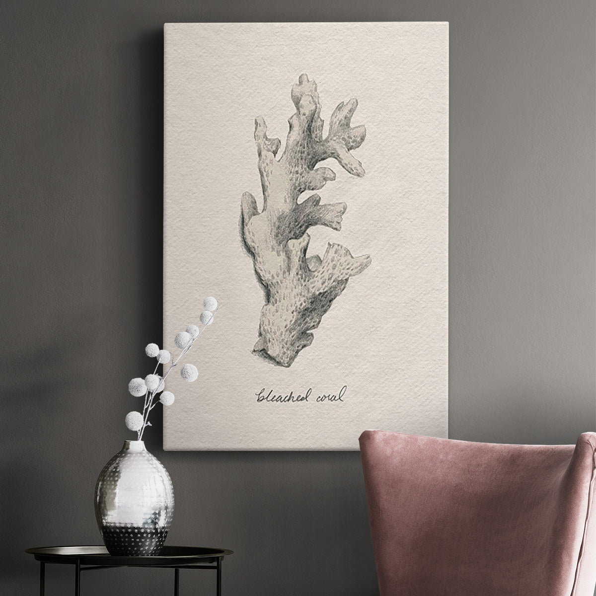 Shore Treasure Study II - Canvas Art Print