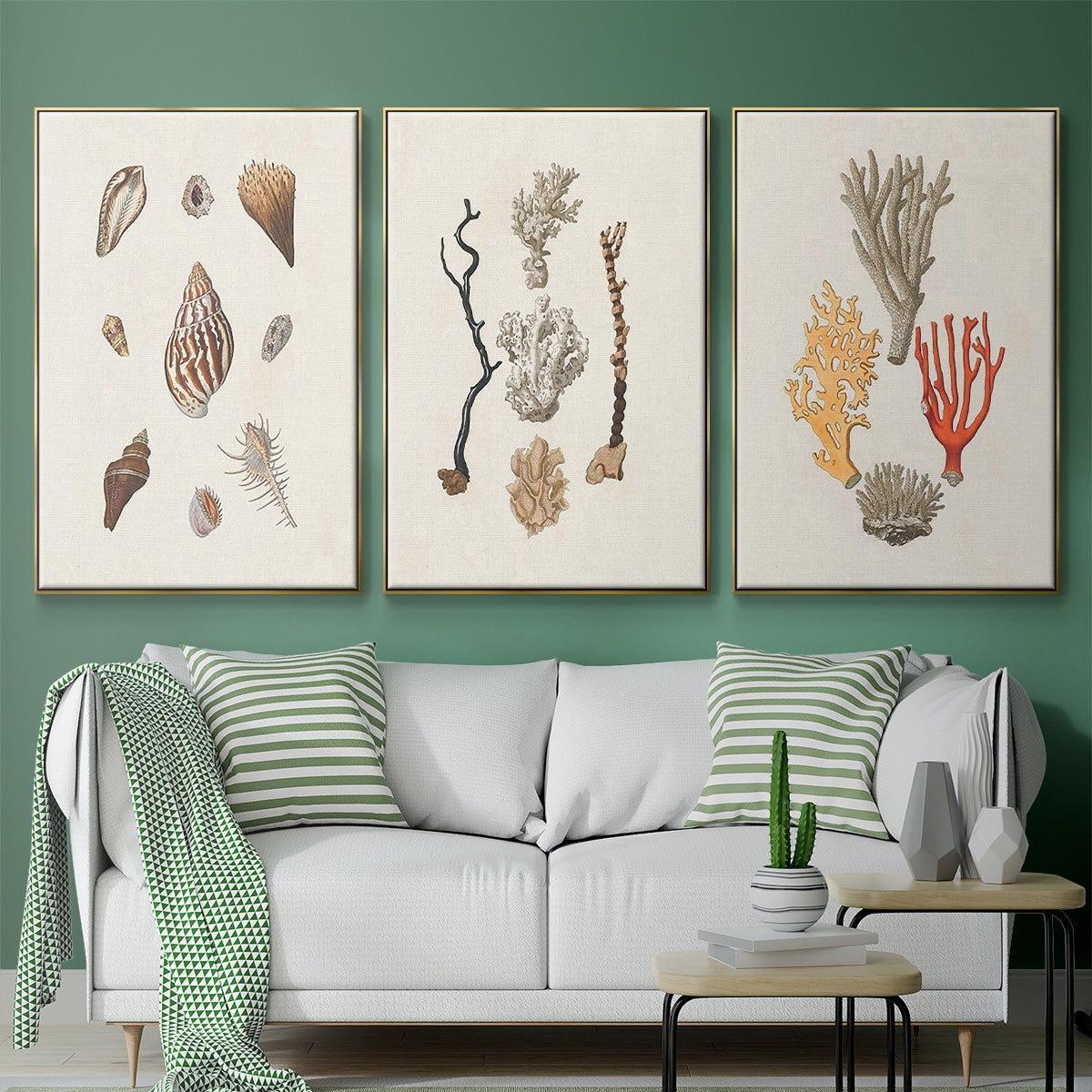 Knorr Shells & Coral IV - Framed Premium Gallery Wrapped Canvas L Frame 3 Piece Set - Ready to Hang