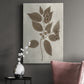 Arbor Specimen II Premium Gallery Wrapped Canvas - Ready to Hang