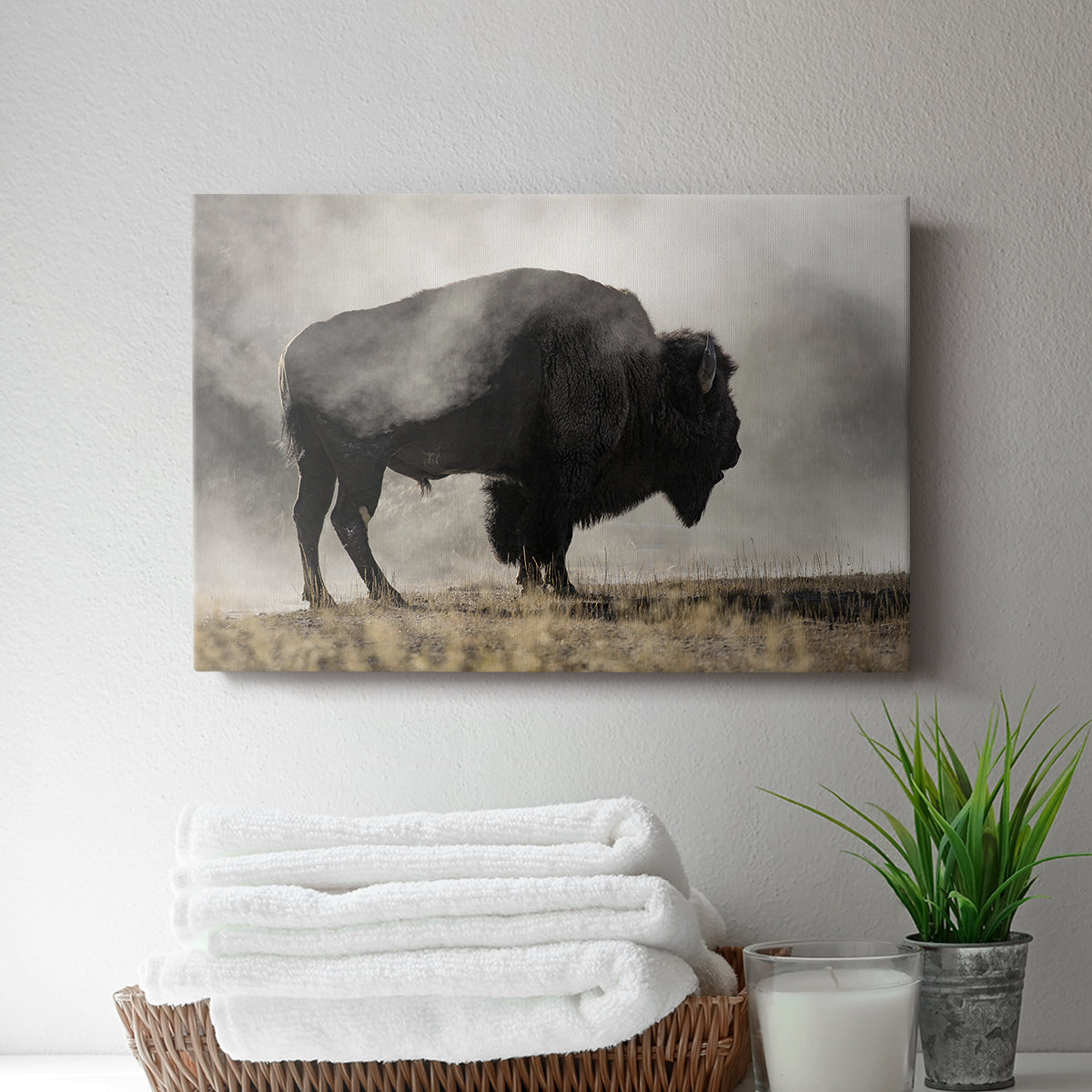 Geyser Basin - Canvas Art Print