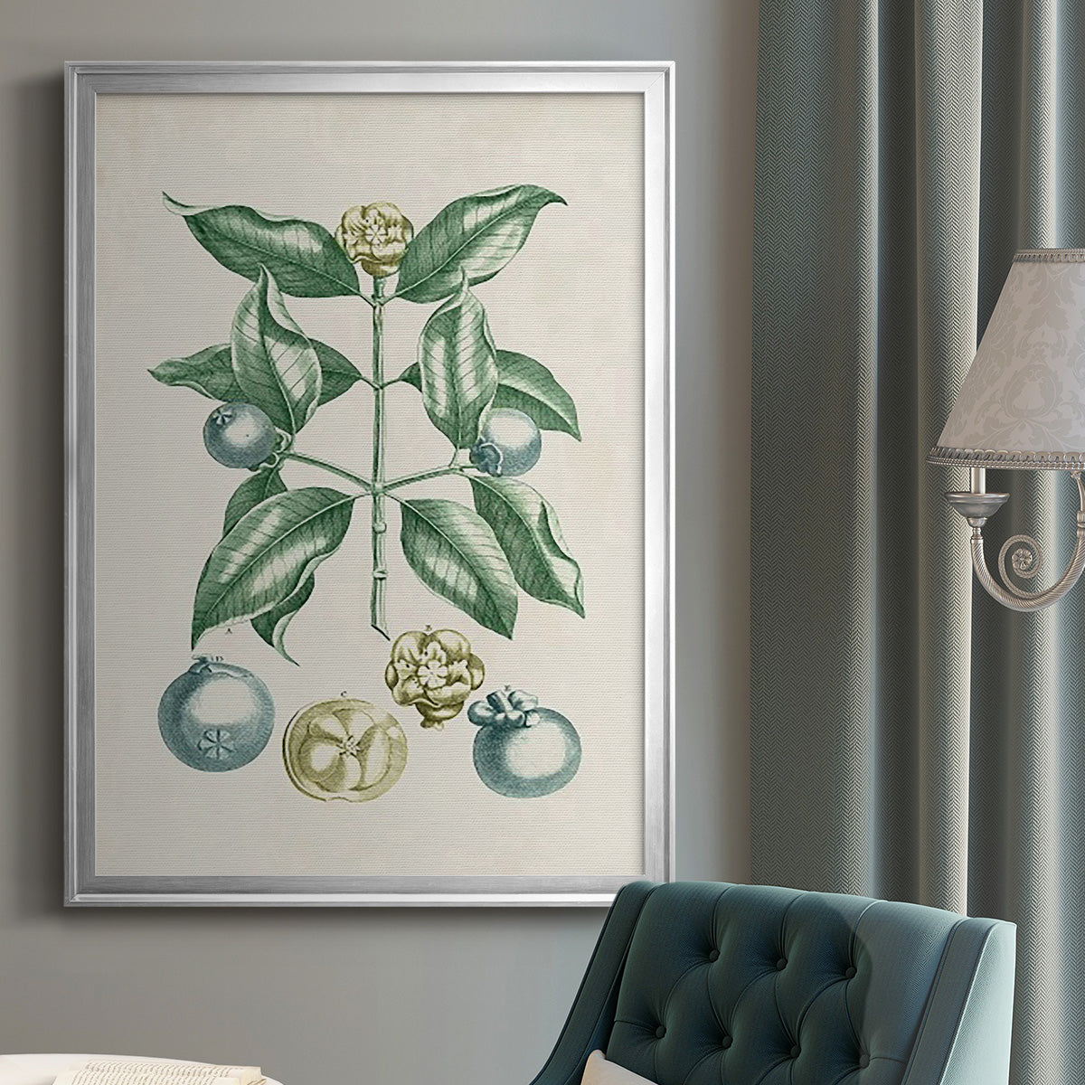 Buchoz Tropicals VII - Modern Framed Canvas Print