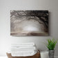 Timeless Plantation Drive - Canvas Art Print