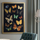 Collected Flutter III - Modern Framed Canvas Print