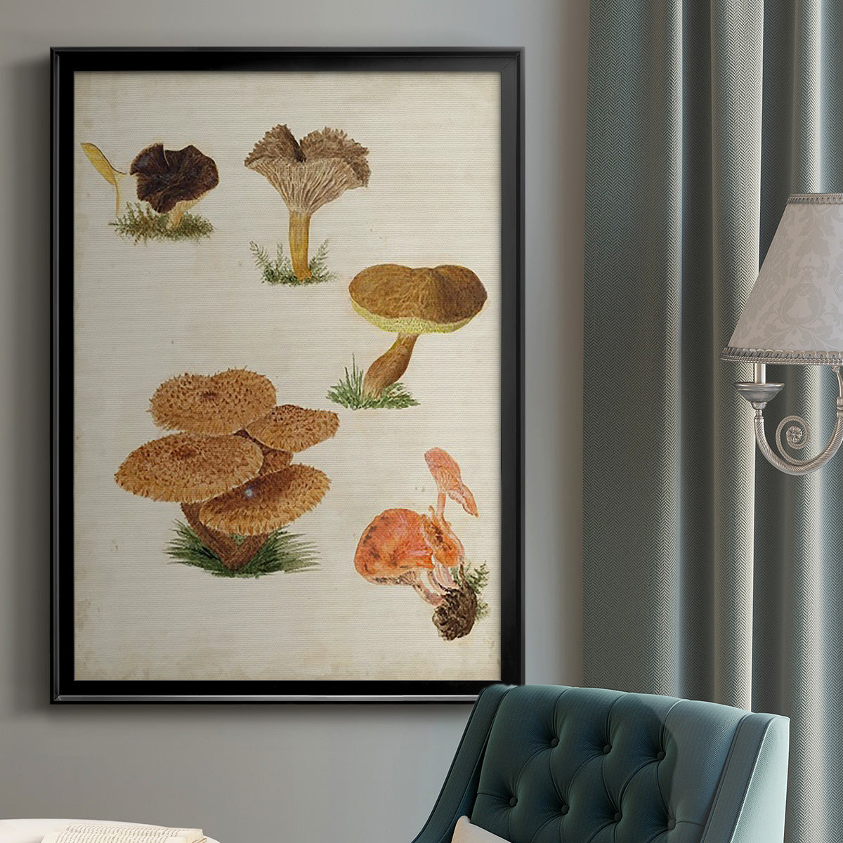 Mushroom Species V - Modern Framed Canvas Print