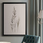Delicate Stems I - Modern Framed Canvas Print