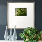 Arboreal Refuge Premium Framed Print Double Matboard