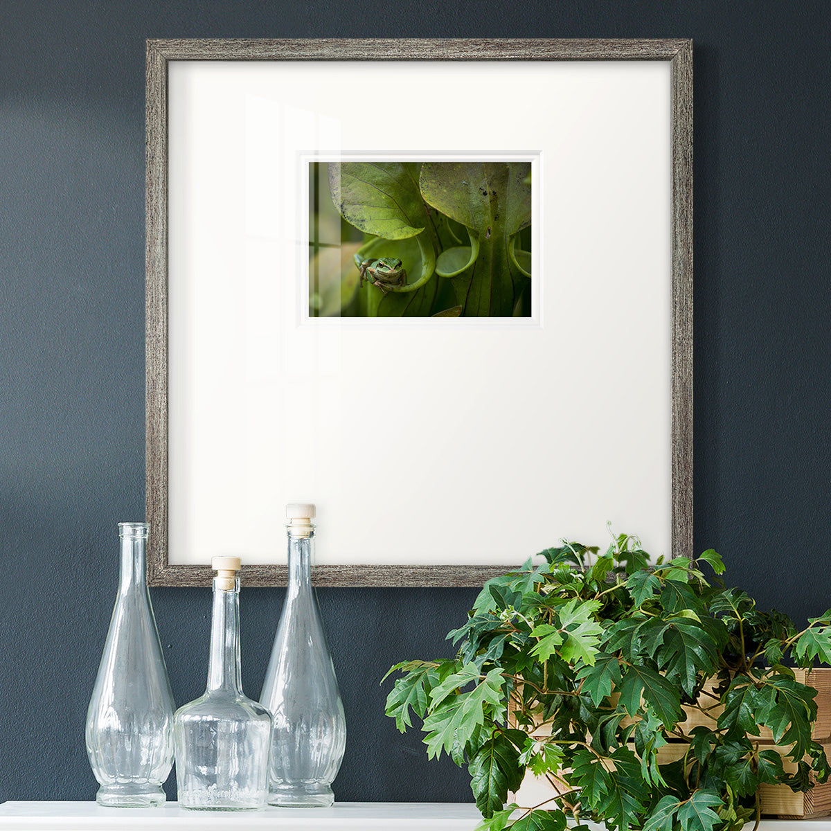 Arboreal Refuge Premium Framed Print Double Matboard