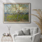 Orchard With Blossoming Apricot Trees - Ornate Framed Canvas Print