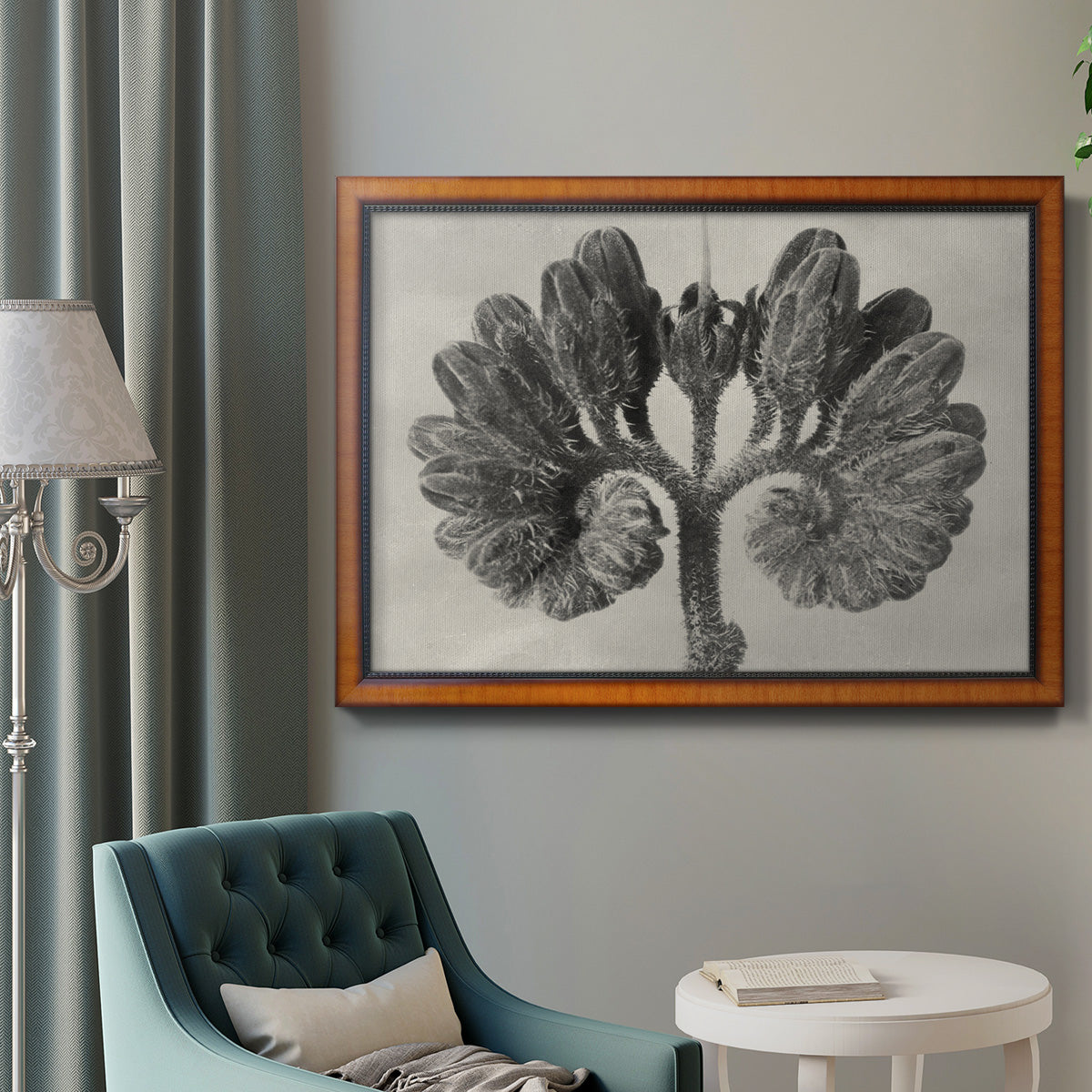 Blossfeldt Botanical VIII Premium Framed Canvas- Ready to Hang